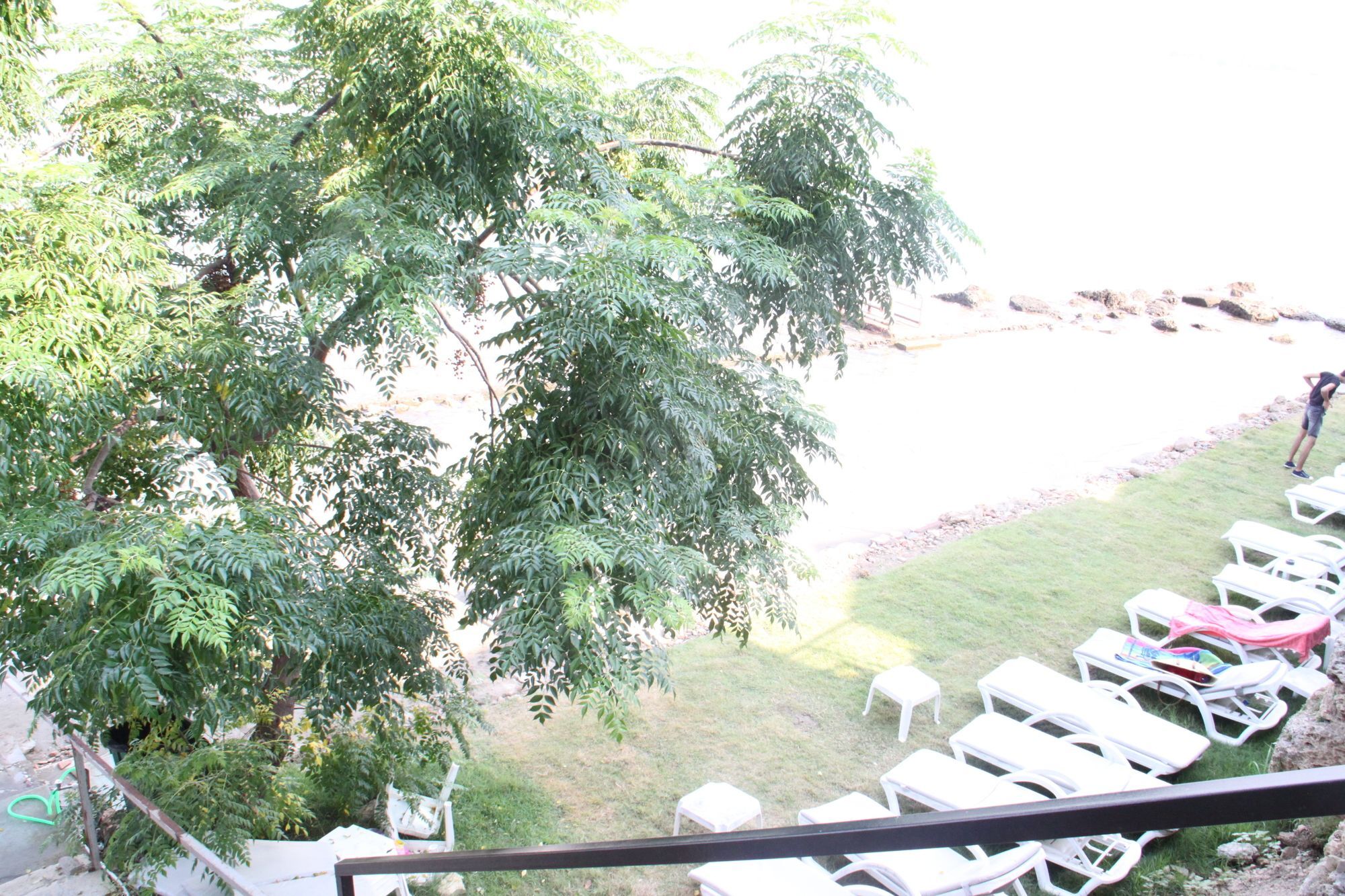 Side Kleopatra Hotel Εξωτερικό φωτογραφία