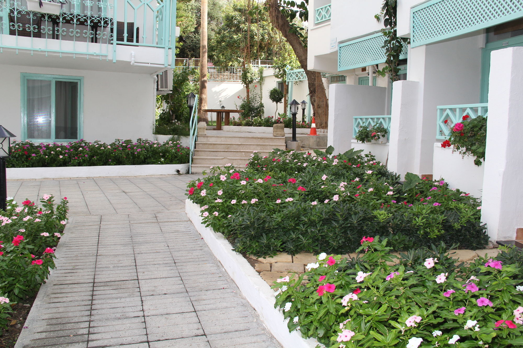 Side Kleopatra Hotel Εξωτερικό φωτογραφία